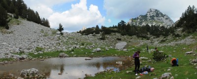 Uzorkovanje za hitridiomikozu